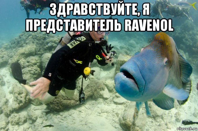 risovach.ru.jpg