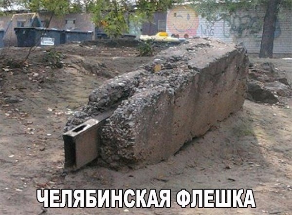 9266859.jpg