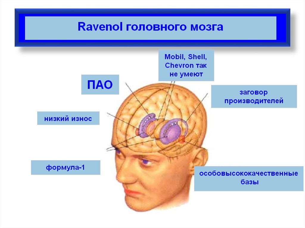 slide-21.jpg