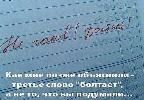 10808350.jpg