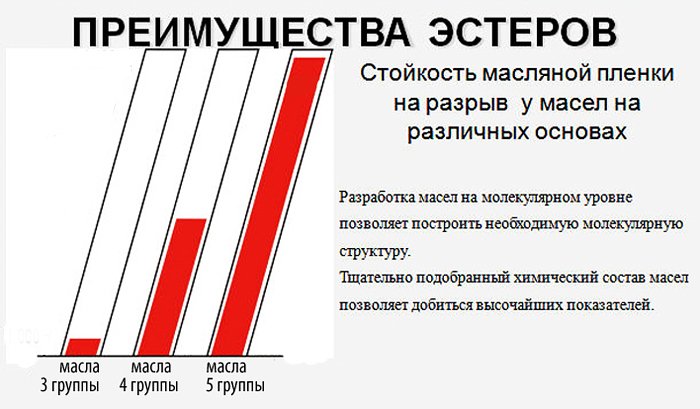 31473921.jpg