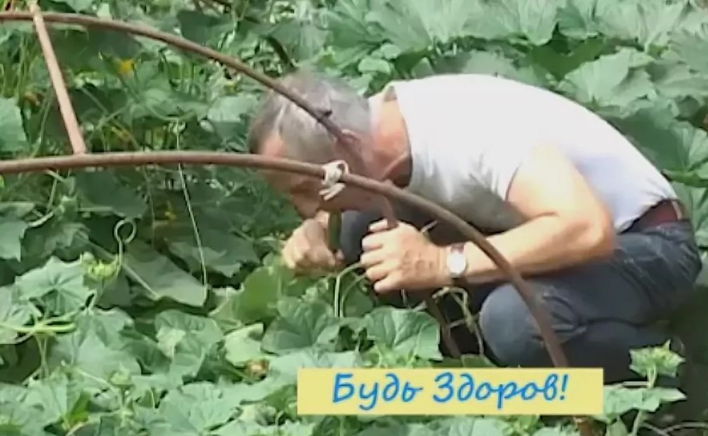 попов.jpg