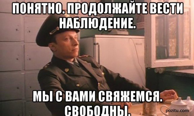14676781.jpg