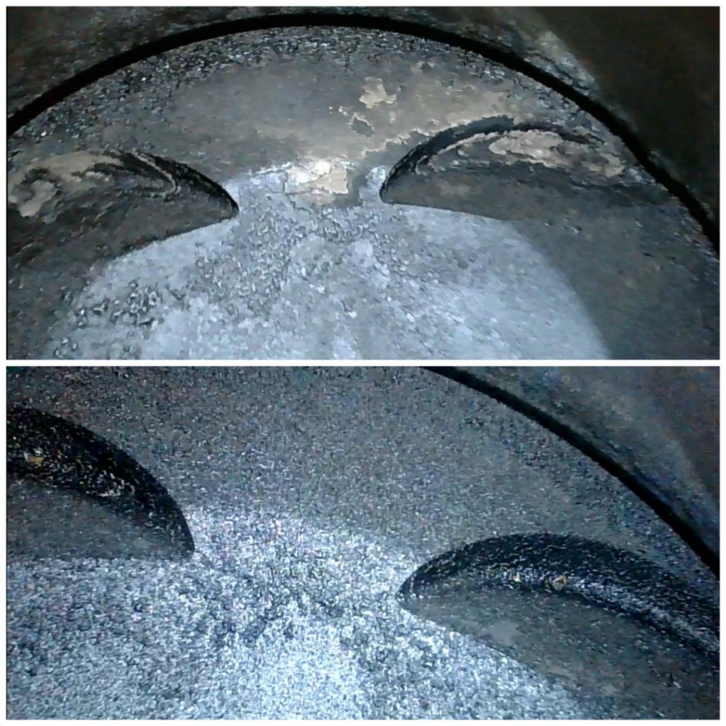 Collage_20221029_195621.jpg
