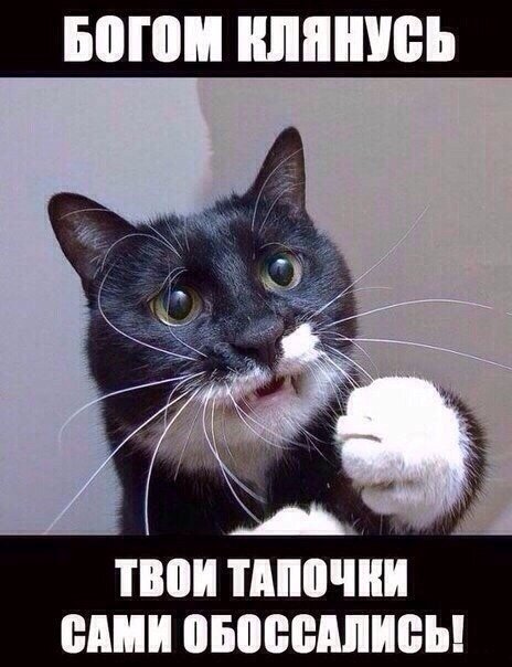 SgN76TIDM0M.jpg