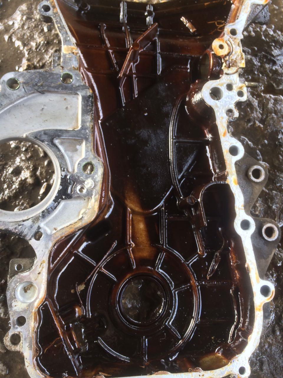 4ff681es-960.jpg
