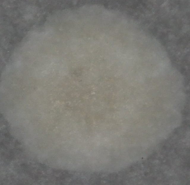 капля1157км-640-просвет.jpg
